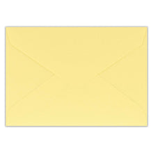 Creald: Parakeet Thank You Window Card