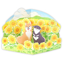 Sunflower Shiba Display Card