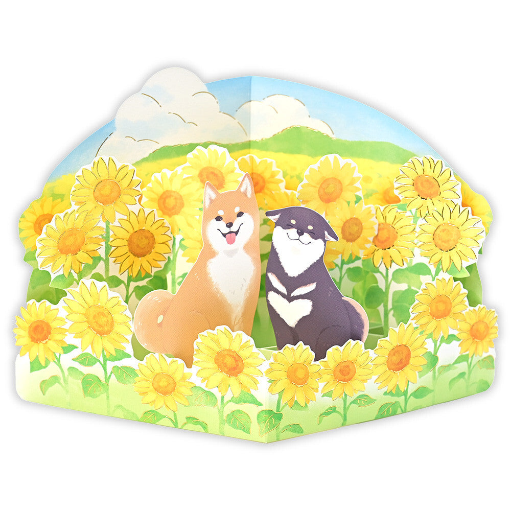 Sunflower Shiba Display Card