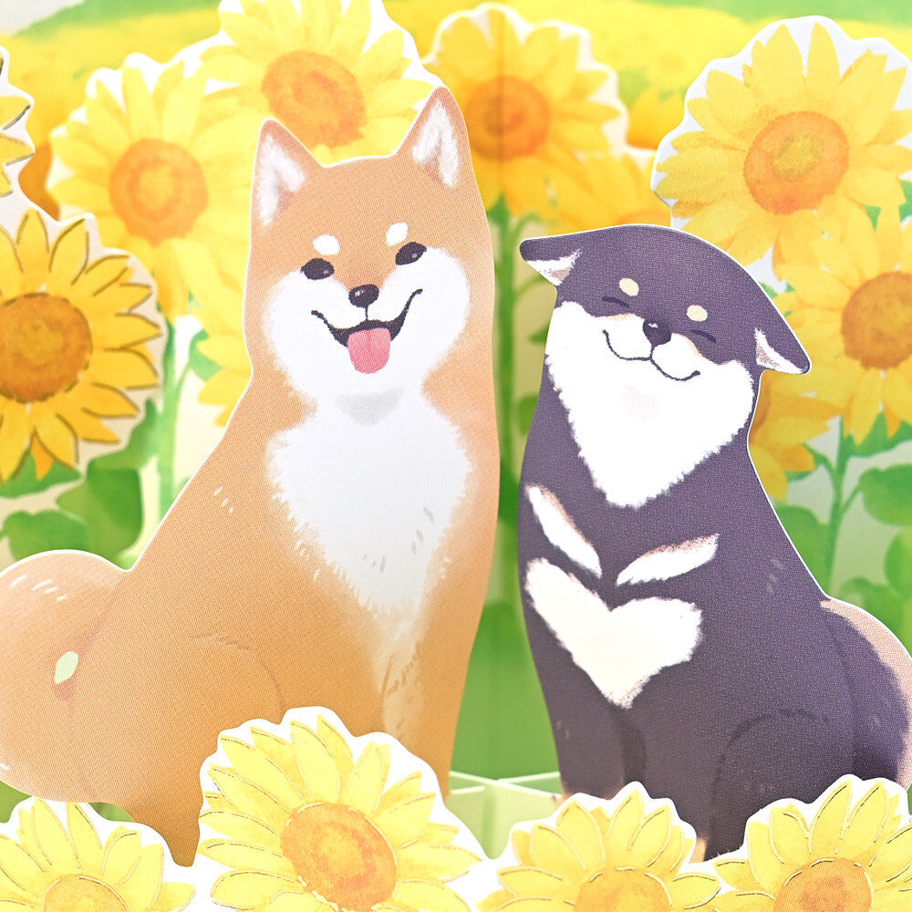 Sunflower Shiba Display Card