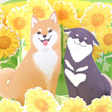 Sunflower Shiba Display Card
